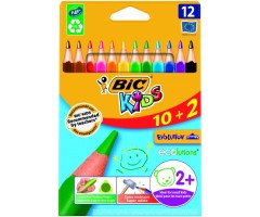 BIC Spalvoti pieštukai EVOLUTION TRIANGLE 12 spalvų rinkinys 8871462