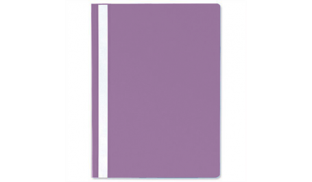 AD Class Segtuvėlis skaidriu viršeliu 100/150 violetinė, pakuotėje 25vnt