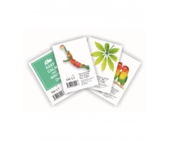 Bloknotas SMLT A5, 60lapelių, langeliais nuplėšiamais