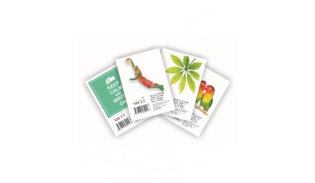 Bloknotas SMLT A5, 60lapelių, langeliais nuplėšiamais