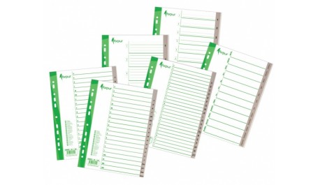 Skiriamieji lapai Forpus Maxi, 245x297mm, 1-12 skaičiai, plastikiniai  0807-018