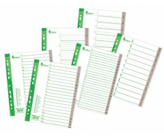 Skiriamieji lapai Forpus Maxi, 245x297mm, 1-20 skaičiai, plastikiniai  0807-019