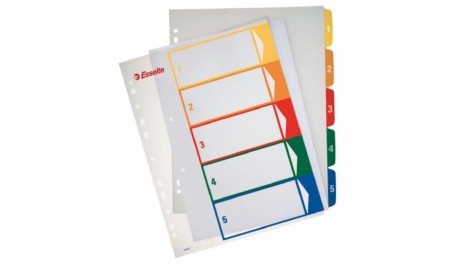 Skiriamieji lapai Esselte Project, A4, 1-12 spalvos, plastikiniai  0807-119