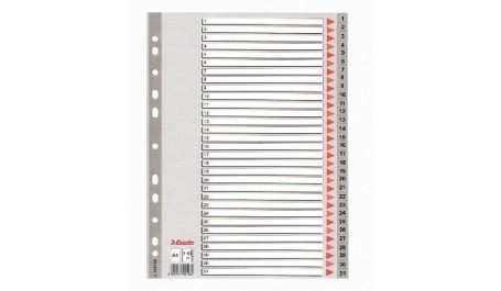 Skiriamieji lapai Esselte PP, A4, 1-31 skaičiai, plastikiniai  0807-106