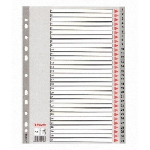 Skiriamieji lapai Esselte PP, A4, 1-31 skaičiai, plastikiniai  0807-106