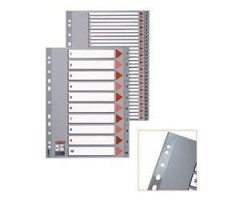 Skiriamieji lapai Esselte PP, A4, Jan.-Dec. mėnesiai, plastikiniai  0807-108