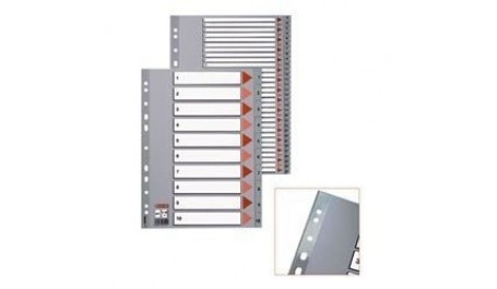 Skiriamieji lapai Esselte PP, A4, Jan.-Dec. mėnesiai, plastikiniai  0807-108