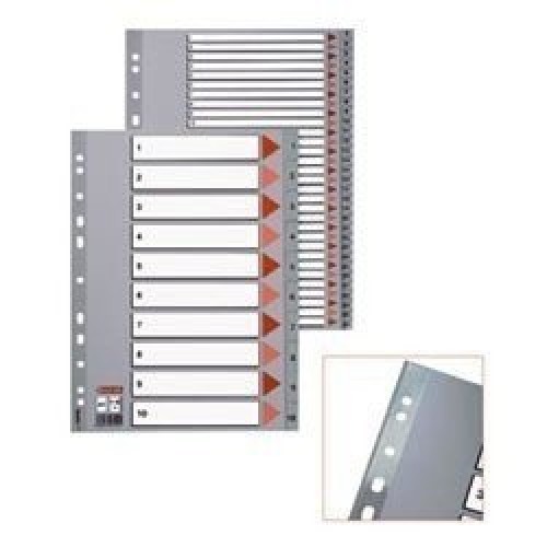 Skiriamieji lapai Esselte PP, A4, Jan.-Dec. mėnesiai, plastikiniai  0807-108