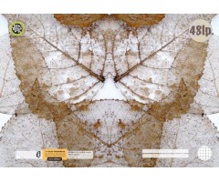 Kontorinis sąsiuvinis A4/48, langeliais