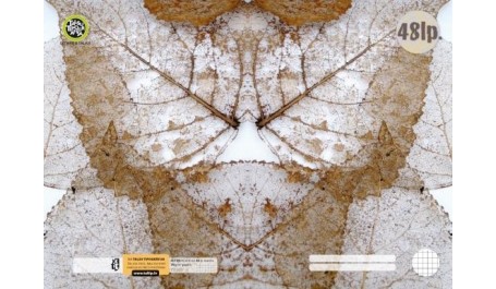 Kontorinis sąsiuvinis A4/48, langeliais