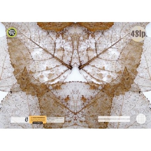 Kontorinis sąsiuvinis A4/48, langeliais