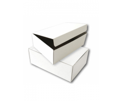 Archyvinė dėžė SMLT mikrogofro kartono, balta 120x355x255mm