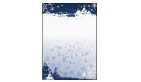 Diplomų popierius Žiema, A4, 170g (25)  0710-031