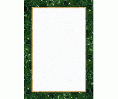 Dekoratyvinis popierius Ispanija R, A4, 100g (50)  0710-115