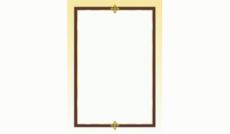 Dekoratyvinis popierius Prancūzija, A4, 100g (50)  0710-101