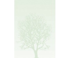 Dekoratyvinis popierius Medis, A4, 100g (50)  0710-100