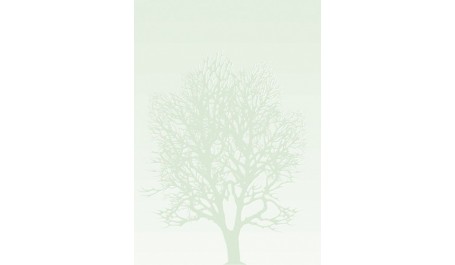 Dekoratyvinis popierius Medis, A4, 100g (50)  0710-100