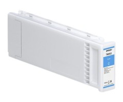 Epson C13T891200, Žydra