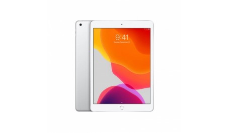Apple iPad 7th Gen 32GB, šviesiai pilka