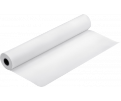 Ruloninis popierius Epson Proofing Paper Semimatte, 17inch x 30,5 m, 250g/m², baltas