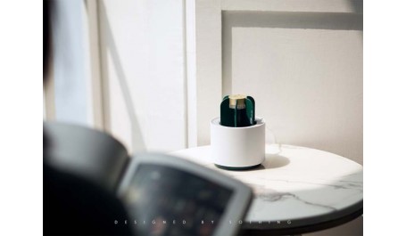 Kaktusų uodų/vabzdžių naikinimo lempa Eletric UV šviesa