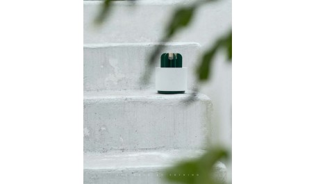 Kaktusų uodų/vabzdžių naikinimo lempa Eletric UV šviesa