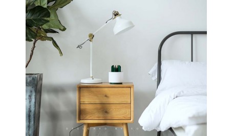 Kaktusų uodų/vabzdžių naikinimo lempa Eletric UV šviesa