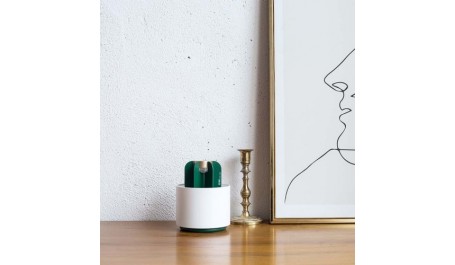 Kaktusų uodų/vabzdžių naikinimo lempa Eletric UV šviesa